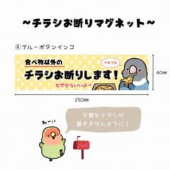 チラシお断りマグネット(ブルーボタンインコ)のサムネイル