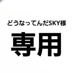 どうなってんだSKY様専用ページのサムネイル