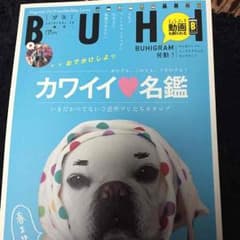 BUHI 最新号のサムネイル