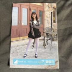 m59259538947_1.jpg?1729996073