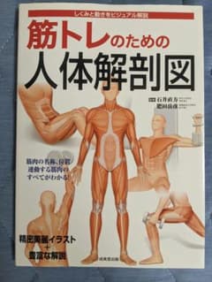 筋トレのための人体解剖図のサムネイル