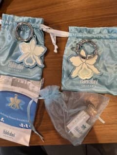 ハレクラニ沖縄　キーホルダー　非売品のサムネイル