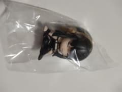 SPY FAMILY スパイファミリー　肩ズン　ヨル
肩ズンFig.  ヨルのサムネイル