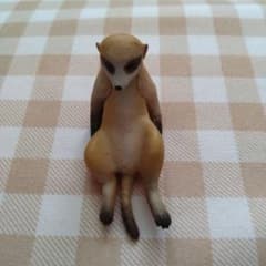 ミーアキャット フィギュア カプセルトイのサムネイル