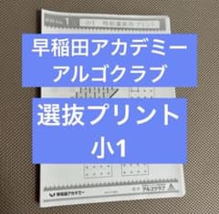 早稲田アカデミー　小1 アルゴクラブ　特別選抜用プリント　前期　算数オリンピック 早稲田アカデミー 小1 アルゴクラブ 特別選抜用プリント 前期 算数
