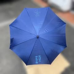 非売品 テゴマス NEWS ニュース アイアイ傘 手越祐也 増田貴久 