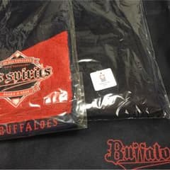 オリックス バファローズ プレミアムメンバー限定品☆のサムネイル