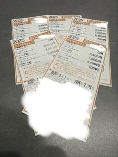 ナガシマスパーランド 湯あみの島 割引券 5枚(バラ売り購入可)のサムネイル