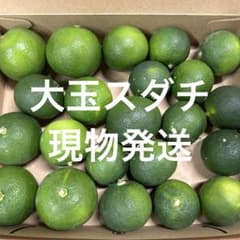 ハウススダチ 家庭用 約1キロ - メルカリ