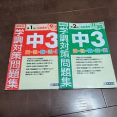 学調対策問題集　静岡　中３のサムネイル