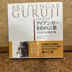 アイアンガー108の言葉 ヨガからの贈り物のサムネイル