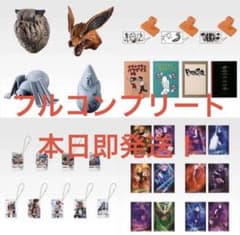 NARUTO 이치 반 쿠지 하위상 컴플리트 세트 나루토 질풍전 풍영탈환편