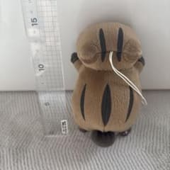 나츠메 친구장 냥코 선생님 우리 옷 차림
