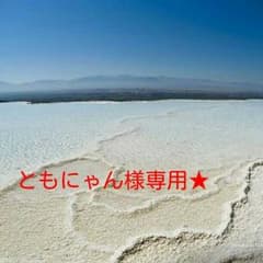 専用★のサムネイル