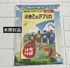 미개봉품 수요일 어떨까요 C상 지구의 걷는 방법 최초의 아프리카 2013