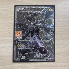 PSA10】メガリザードンX ex メガリザードン Y ex 連番 | Shop at