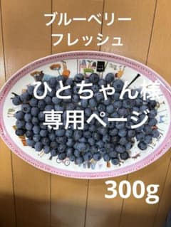 ブルーベリーのサムネイル