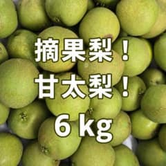 【石川県産】 甘太梨！ 摘果梨 ６kg 加工用｜のサムネイル