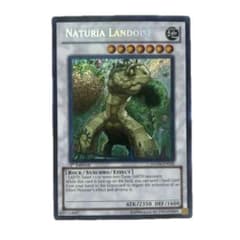 遊戯王☆OCGデュエルモンスターズ☆NATURIA LANDOISE☆レア字 - メルカリ