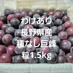 わけあり長野県産種なし巨峰粒1.5kgのサムネイル