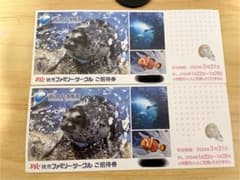 江ノ島水族館　チケット　2枚のサムネイル
