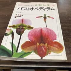 NHK趣味の園芸 作業12か月 パフィオペディラムのサムネイル
