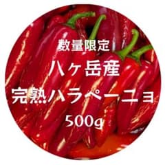 【期間限定割引・数量限定】 八ヶ岳産 完熟ハラペーニョ 500gのサムネイル