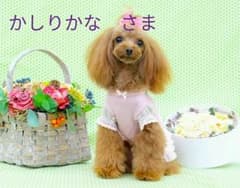 アリュー　クリームのサムネイル