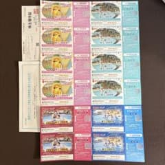 東京サマーランド　1Dayパス 12枚セットのサムネイル