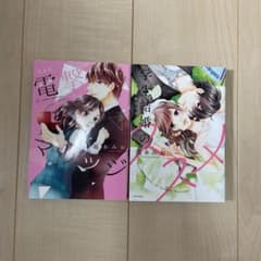 龍本りお 2巻セット 新装版 電撃マリッジ 学生結婚のすすめのサムネイル