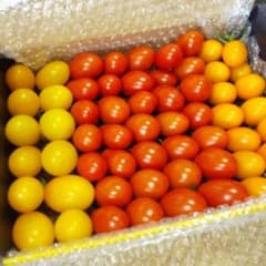 信州蓼科高原産 ミニトマトアイコミックスのサムネイル