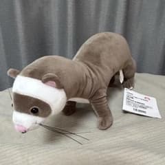 FANS フェレット ぬいぐるみ BIG