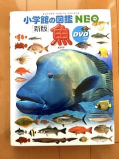 小学館の図鑑　NEO 魚(DVDなし)のサムネイル