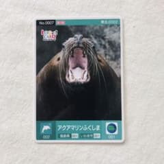 ロゲットカード アクアマリンふくしま - メルカリ