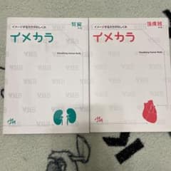 イメカラ循環器　腎臓のサムネイル