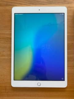 Apple iPad 7世代　10.2インチ シルバー 本体　Wi-fiのサムネイル