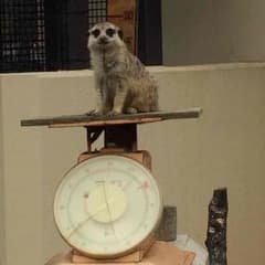 mami様 専用のサムネイル