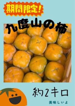和歌山県 九度山産 たねなし柿 2kgのサムネイル