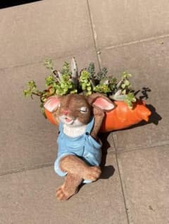 うさぎ 人参 プランター 多肉植物 寄せ植え 置物 | Mercari