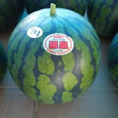 青森県産朝採りスイカ　羅皇のサムネイル