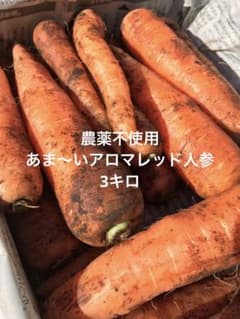農家直送！あま〜いアロマレッド人参☺︎農薬不使用【3キロ】のサムネイル