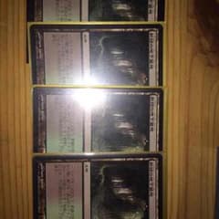 サランダー様 MTG 新緑の地下墓地 乾燥大地セットのサムネイル