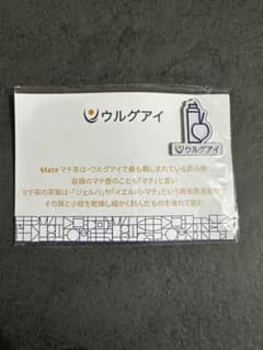 大阪　関西　万博　ウルグアイ　マグネットピン - 4