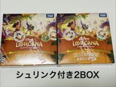 新品未開封 ディズニー・ロルカナ 日本語版 未知なる彼方へ！2BOX