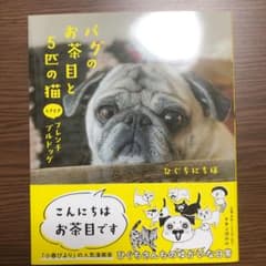 パグのお茶目と5匹の猫 ときどきフレンチブルドッグのサムネイル