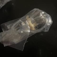 RIIZE つまんでつなげてますこっとでらっくす！Sungchan キーホルダーのサムネイル