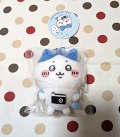 치이카와 외출 즐거움!하치와레)