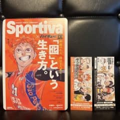 ハイキュー　ショーセツバン　特典　ビジュアルボード　チケット風しおり　日向翔陽のサムネイル