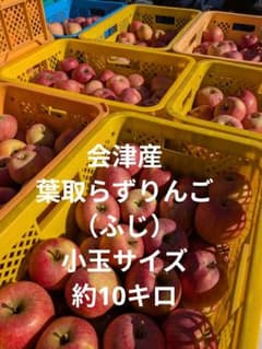 会津産　葉取らずりんご（ふじ） 小玉サイズ約10キロのサムネイル