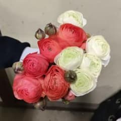 ラナンキュラスセット A 28センチ位 10本切り花生花バラ1 - メルカリ